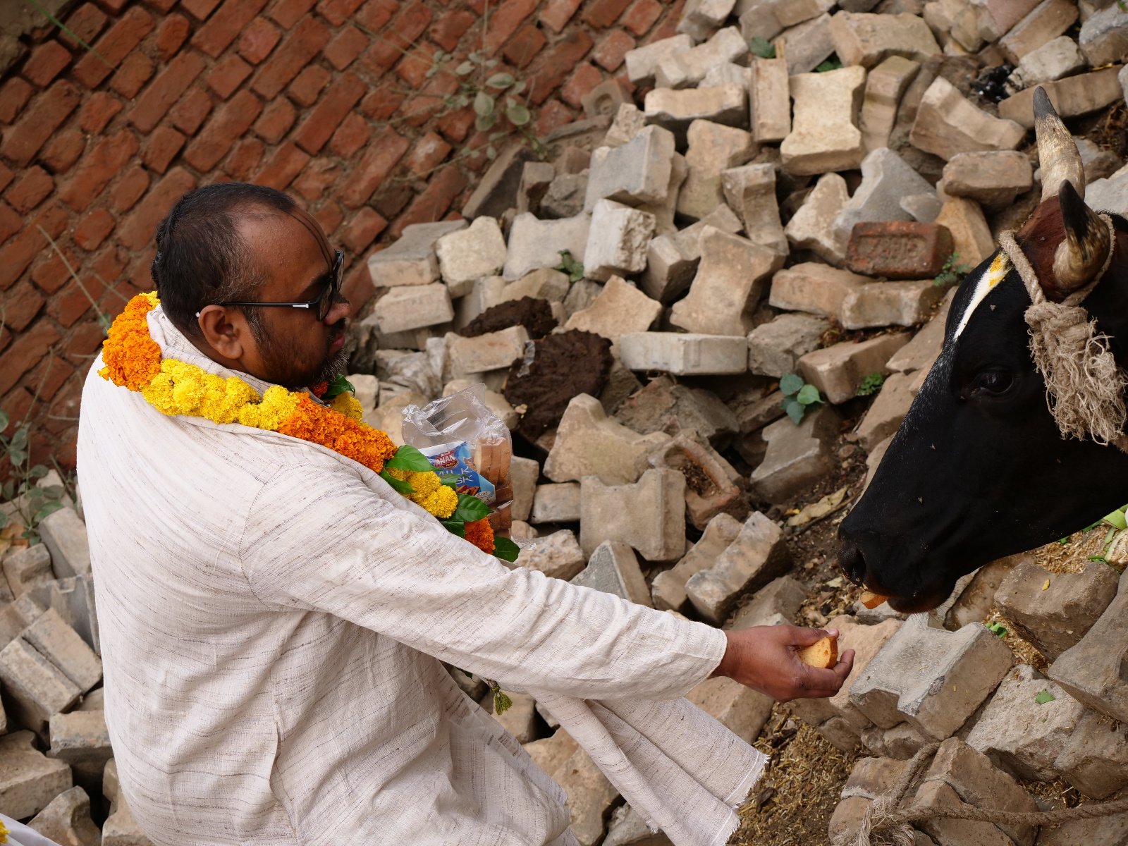  26 Gopashtami Radha kunda Govardhan 19.11.04